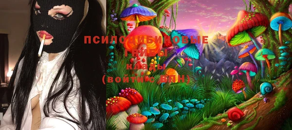 кокс Аркадак