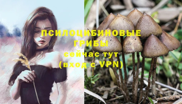 кокс Аркадак