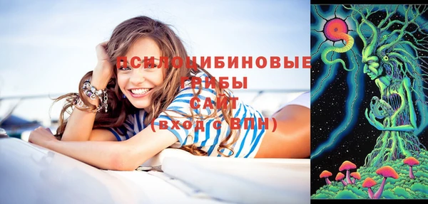 ешки Армянск