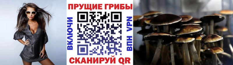 Псилоцибиновые грибы мухоморы  Рыльск 